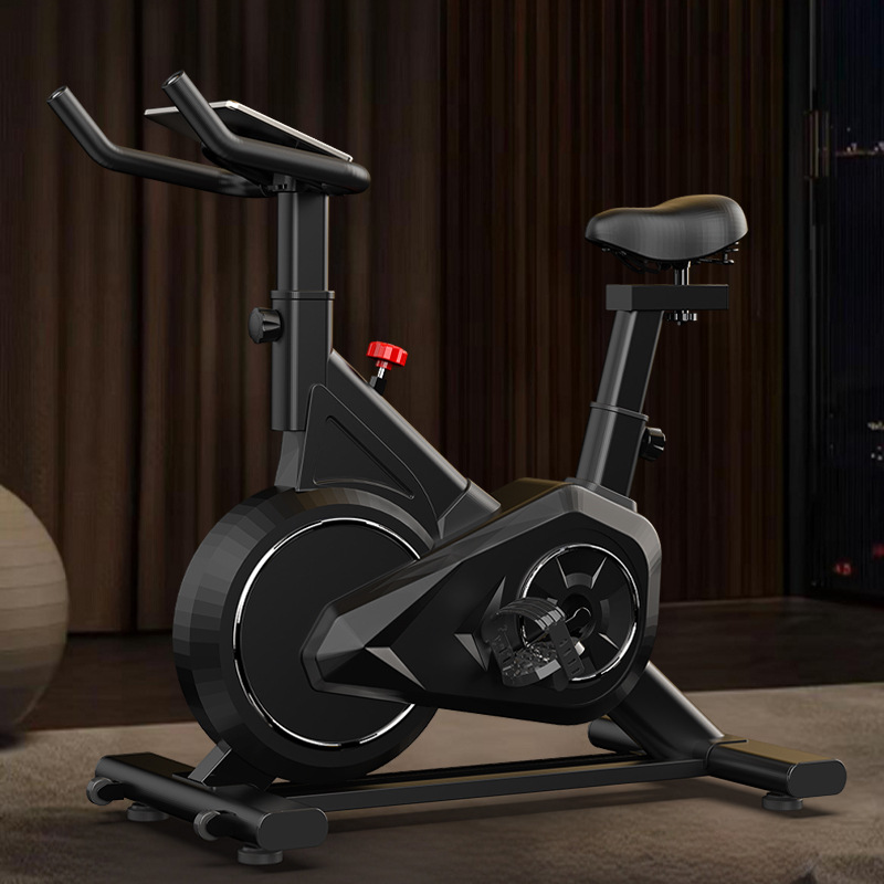 Exercise Bike Magnetic Resistance - Bicicletta da spinning intelligente Mini cyclette