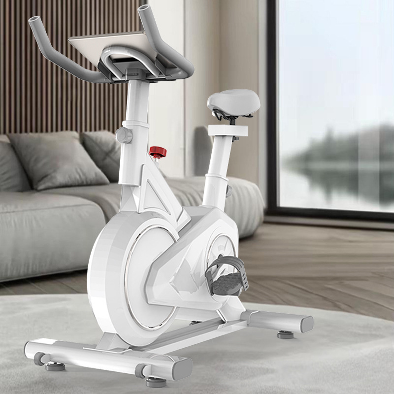 Bicicletta da spinning intelli - Exercise Bike Magnetic Resistance recensione e prezzo