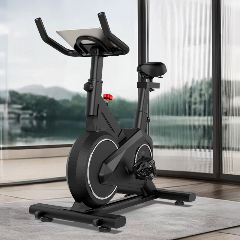 Bicicletta da spinning intelli - Exercise Bike Magnetic Resistance recensione e prezzo